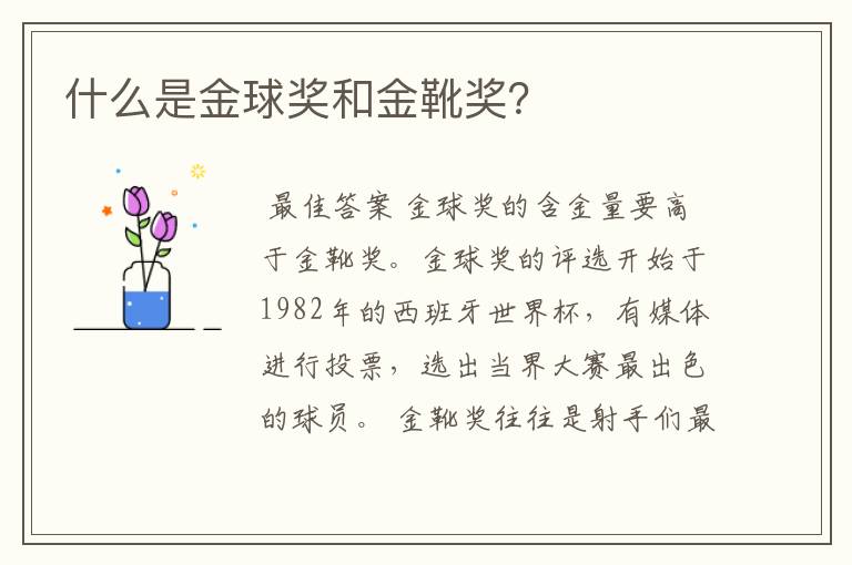 什么是金球奖和金靴奖?
