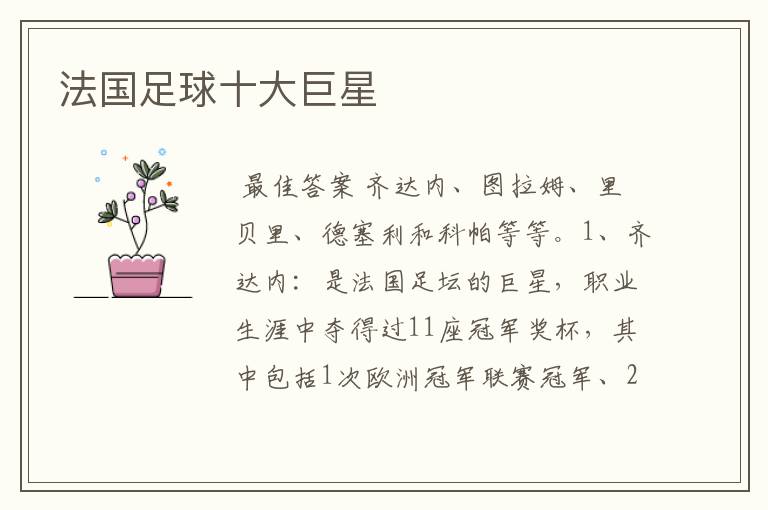 法国足球十大巨星