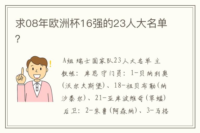 求08年欧洲杯16强的23人大名单？