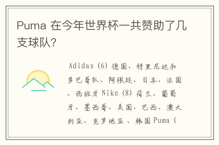 Puma 在今年世界杯一共赞助了几支球队？