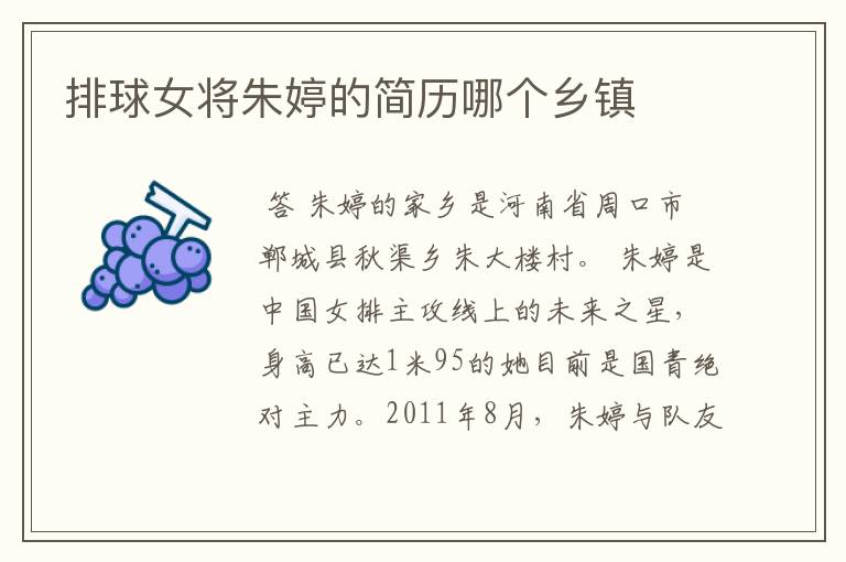 排球女将朱婷的简历哪个乡镇