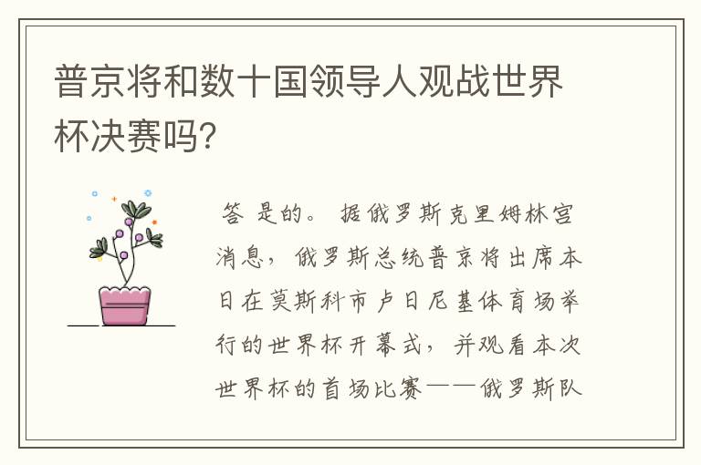 普京将和数十国领导人观战世界杯决赛吗？