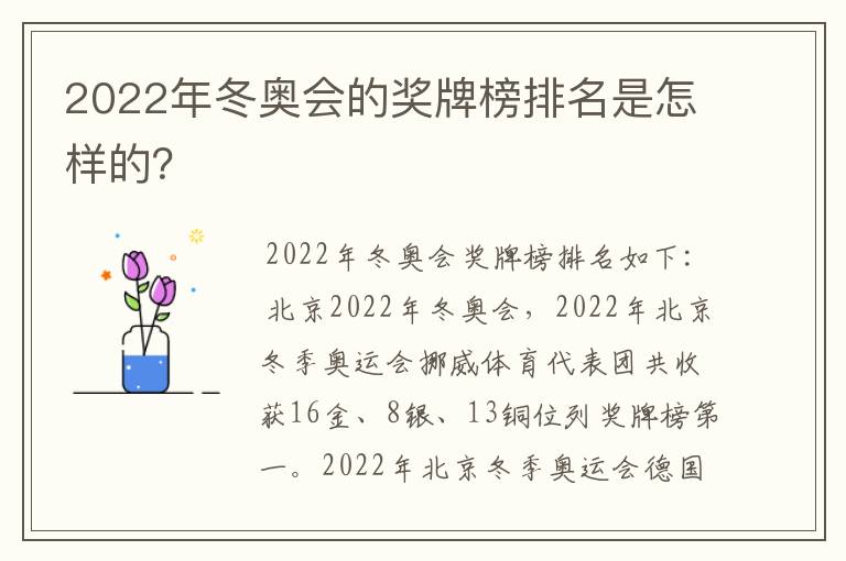 2022年冬奥会的奖牌榜排名是怎样的？