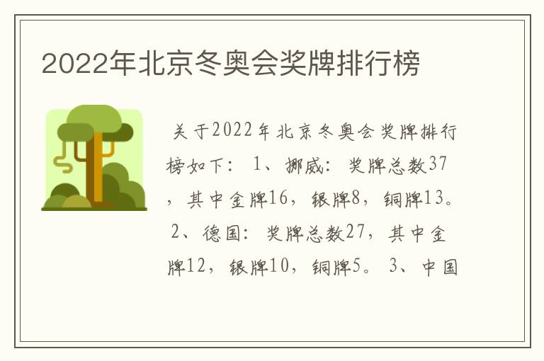 2022年北京冬奥会奖牌排行榜