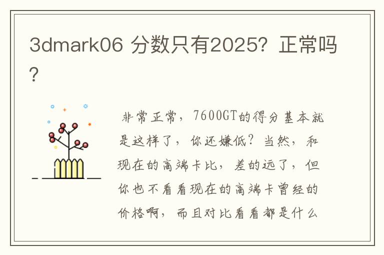 3dmark06 分数只有2025？正常吗？