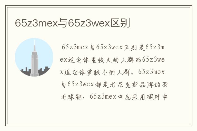 65z3mex与65z3wex区别