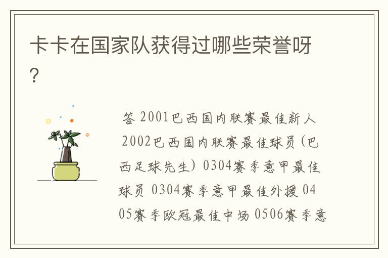 卡卡在国家队获得过哪些荣誉呀?