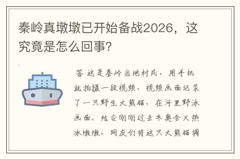 秦岭真墩墩已开始备战2026，这究竟是怎么回事？