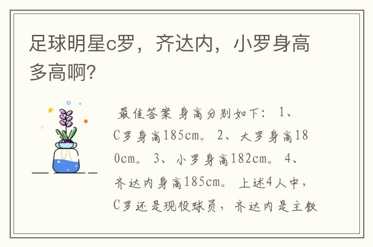 足球明星c罗,齐达内,小罗身高多高啊?