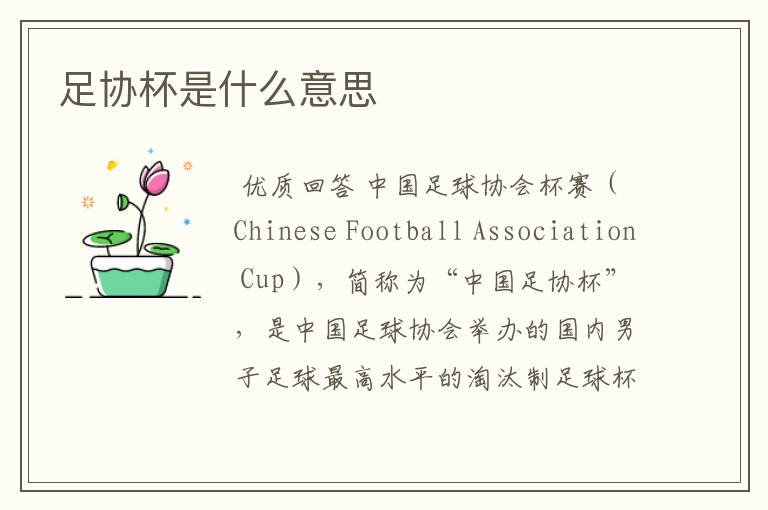 足协杯是什么意思