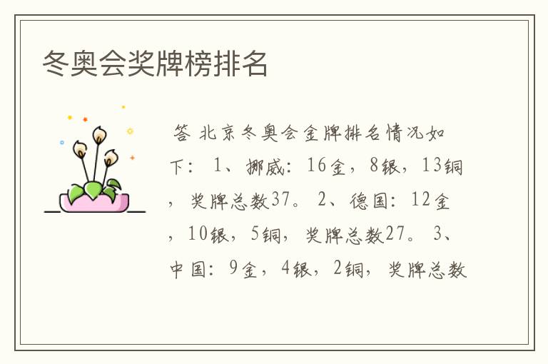 冬奥会奖牌榜排名