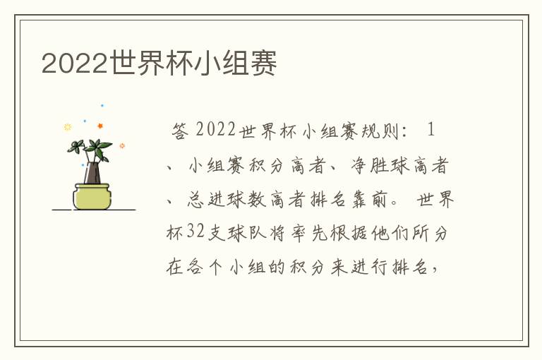 2022世界杯小组赛