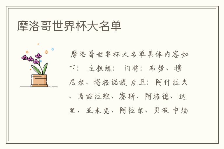 摩洛哥世界杯大名单