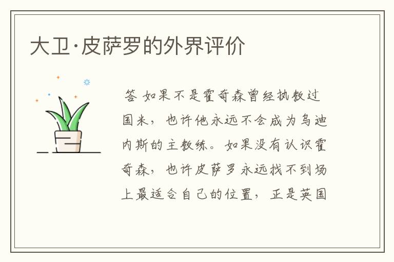 大卫·皮萨罗的外界评价