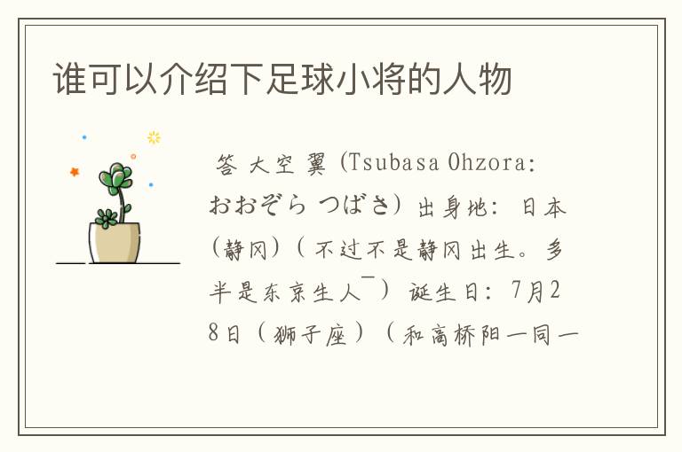 谁可以介绍下足球小将的人物