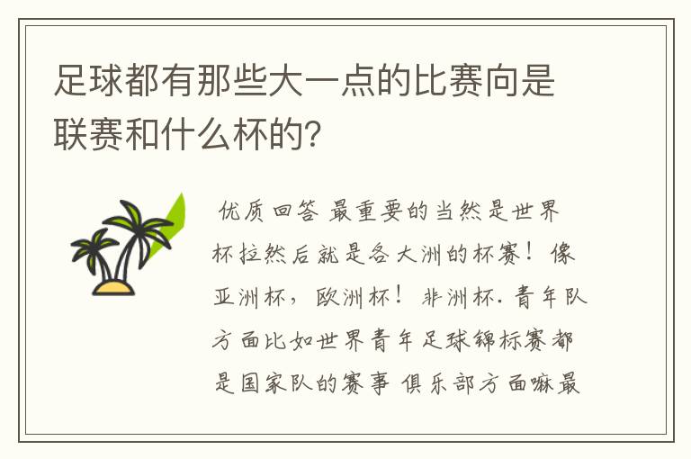 足球都有那些大一点的比赛向是联赛和什么杯的?