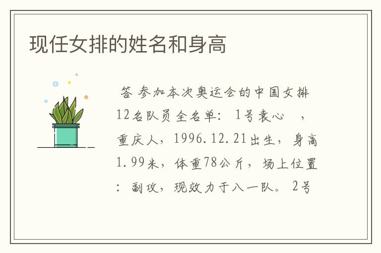 现任女排的姓名和身高