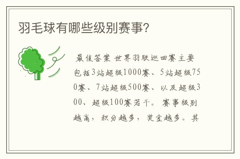 羽毛球有哪些级别赛事?