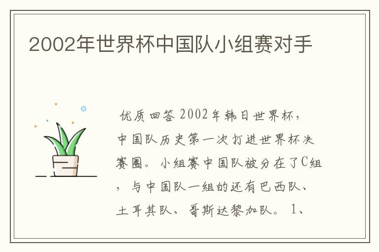2002年世界杯中国队小组赛对手