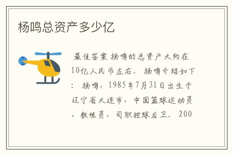 杨鸣总资产多少亿