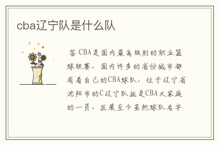 cba辽宁队是什么队